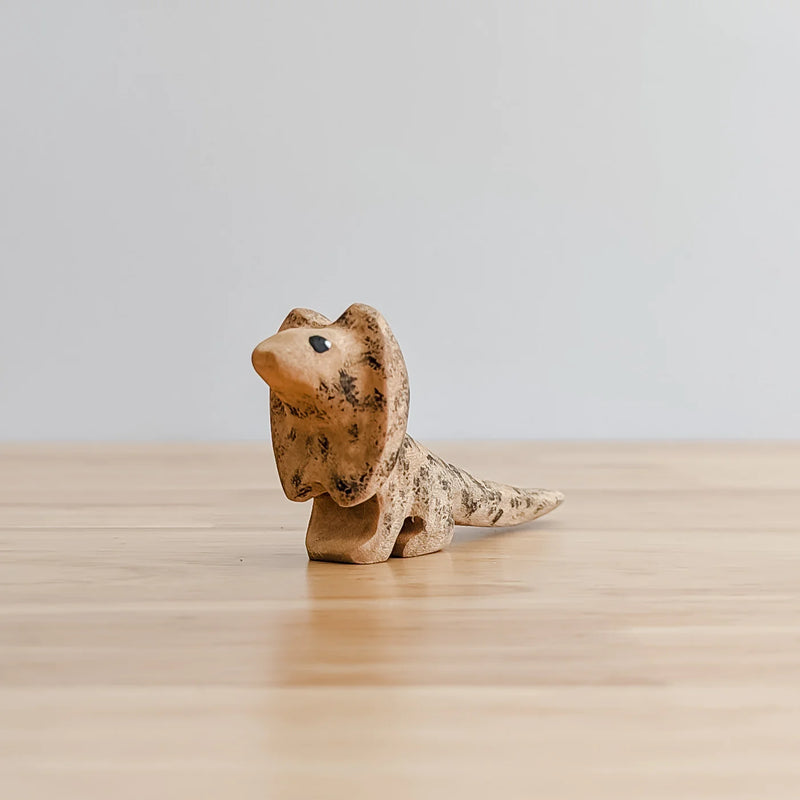 Wooden Frill Neck Lizard