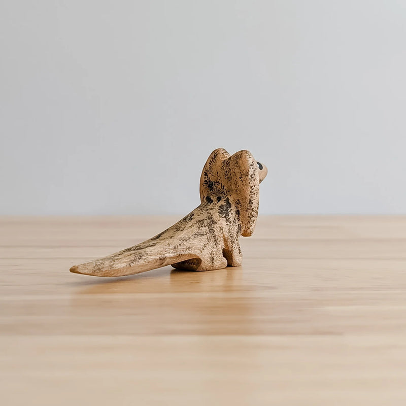 Wooden Frill Neck Lizard