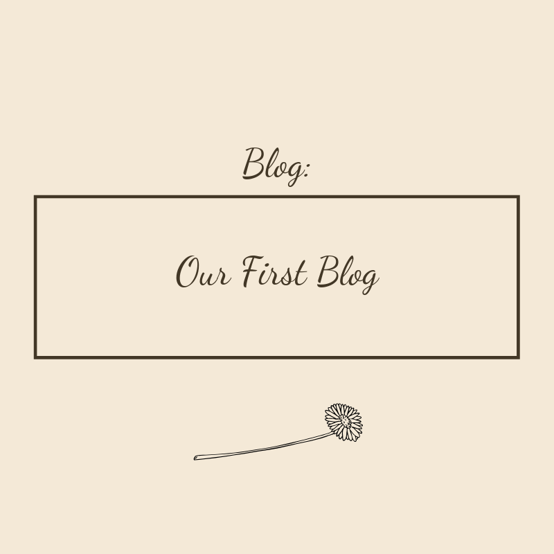 Our First Blog