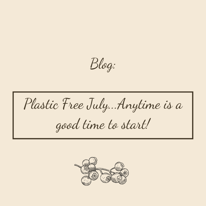 Plastic Free July…Anytime is a good time to start!