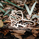 Frilled Neck Lizard Eco Cutter