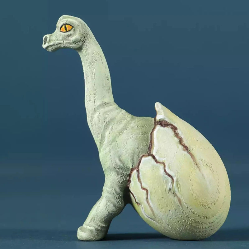 Wooden Hatching Dinosaur Egg - Brachiosaurus