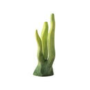 Wooden Seaweed - Large