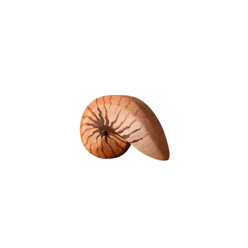 Wooden Spiral Shell