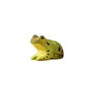Wooden Frog