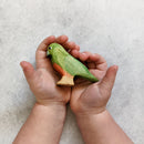 Wooden King Parrot - Female