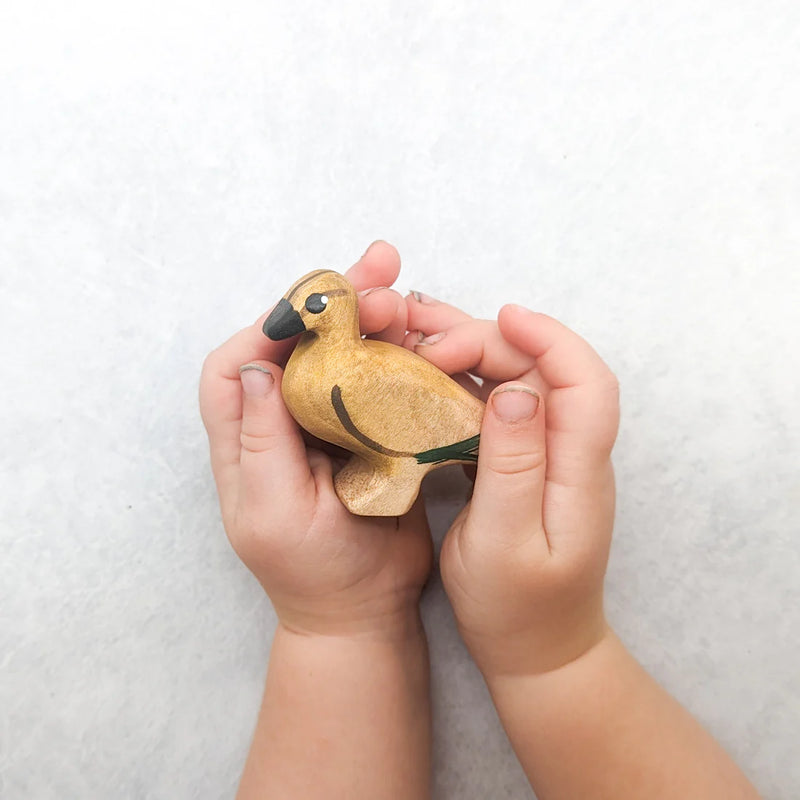 Wooden Australian Duck