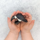 Wooden Ibis - Eating