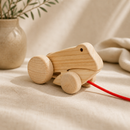Wooden Frog Pull Along - Fletcher