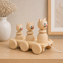 Wooden Pull Along Cat Family