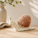 Wooden Snail