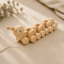 Wooden Pull Along Caterpillar - Clara
