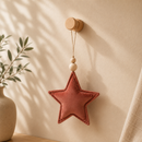 Velvet Star Pendant - Antique Rose