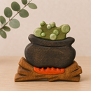 Wooden Cauldron with Fire