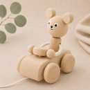 Wooden Pull Along Bear In Car - Teddy