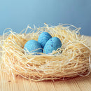 Wooden Brontosaurus Eggs