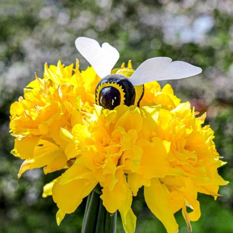 Wooden Bumblebee (ARRIVING MAY/JUNE)