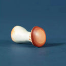Wooden Mushroom - King Oyster