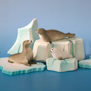 Wooden Harp Seal - Curious (PRE-ORDER)