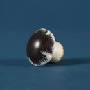 Wooden Mushroom - Porcini