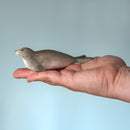 Wooden Harp Seal (PRE-ORDER)