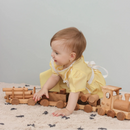 Large Wooden Train Set