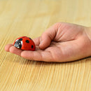 Wooden Ladybug