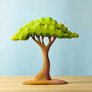 Large Wooden Acacia Tree