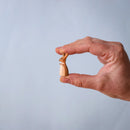 Wooden Kangaroo - Mother & Joey Set