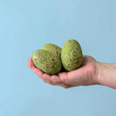 Wooden T-Rex Eggs