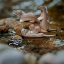 Wooden Otter - Curious