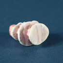 Wooden Fairytale Mushroom - White