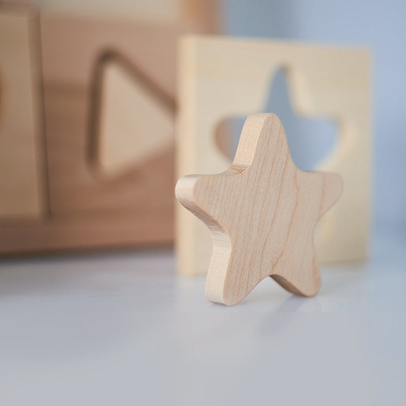 Wooden Sorting Puzzle - Geometrica