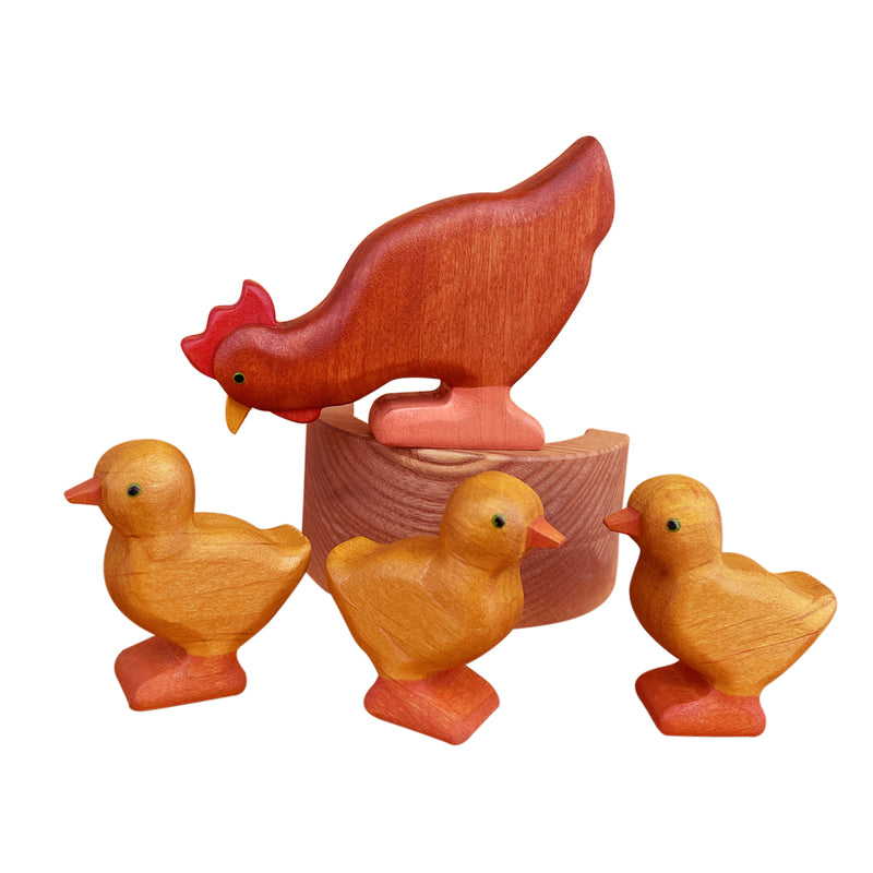 Wooden Chicken - Eating