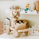 wooden pull along puppy dog with xylophone