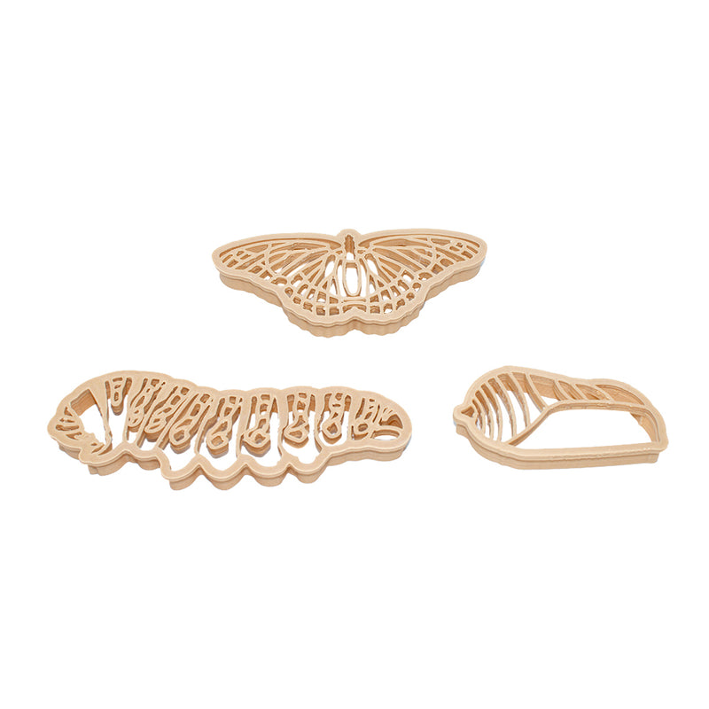 Butterfly Life Cycle Eco Cutter - Set Of 3