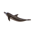 Wooden Dolphin