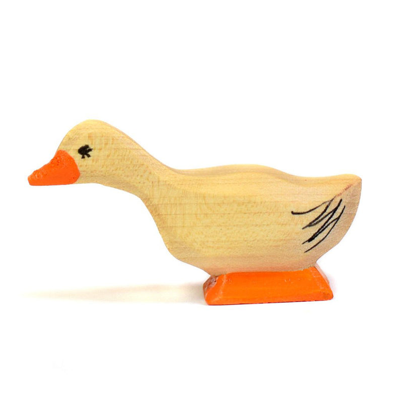 Wooden Duck - Curious