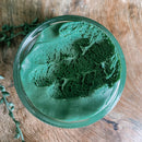 Rainforest Playdough