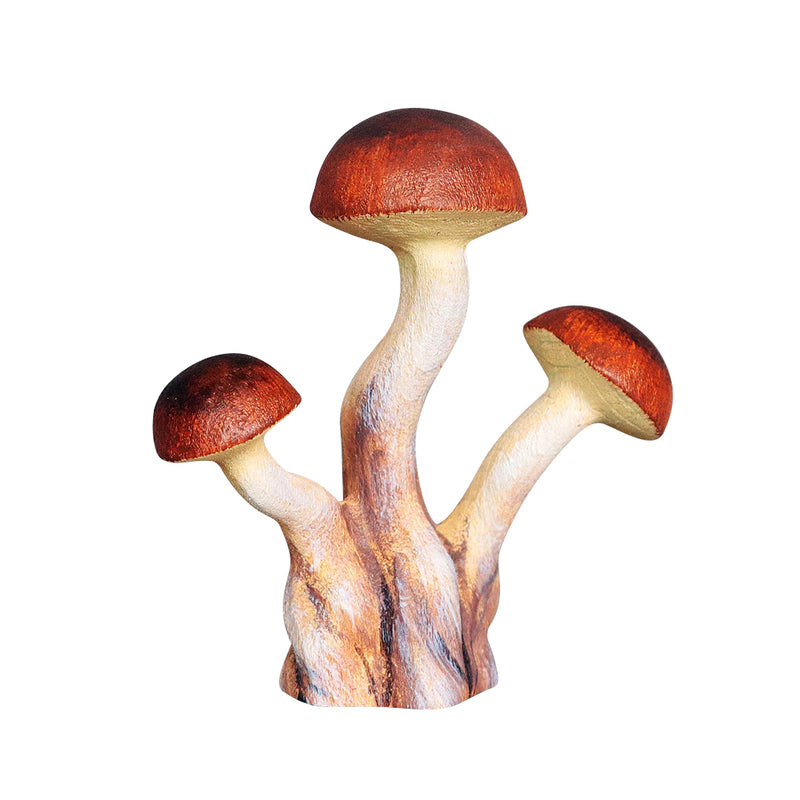 Wooden Porcini Mushrooms