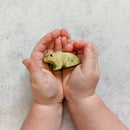 Wooden Green Tree Frog