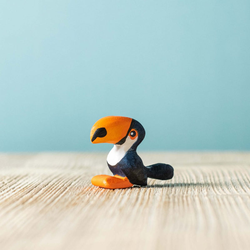 Wooden Toucan Chick