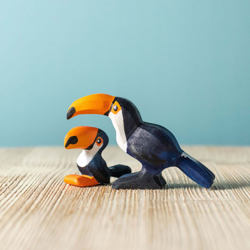 Wooden Toucan Chick
