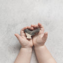 Wooden Willie Wagtail