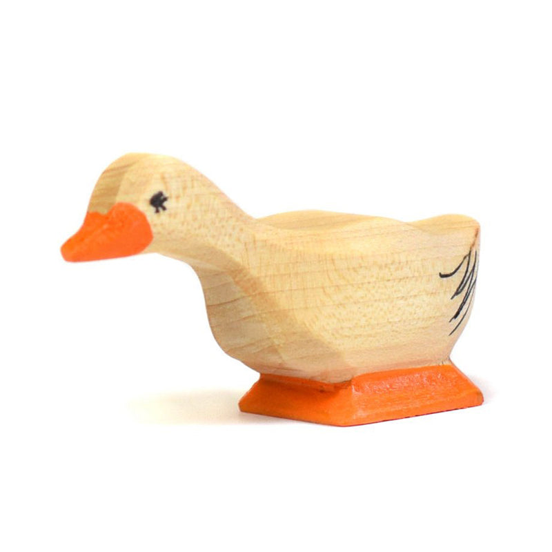 Wooden Duck - Curious